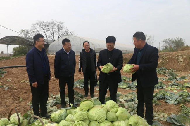 1603673739103407.jpg 3_副本.jpg