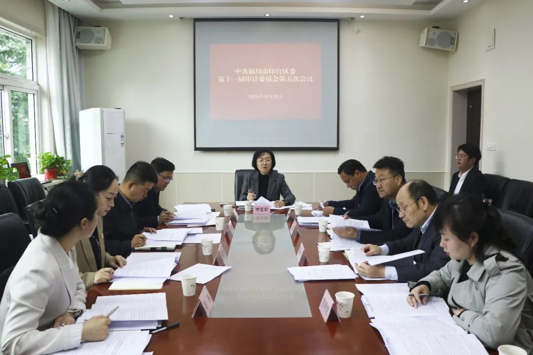 印台区委审计委员会召开2023年第二次会议